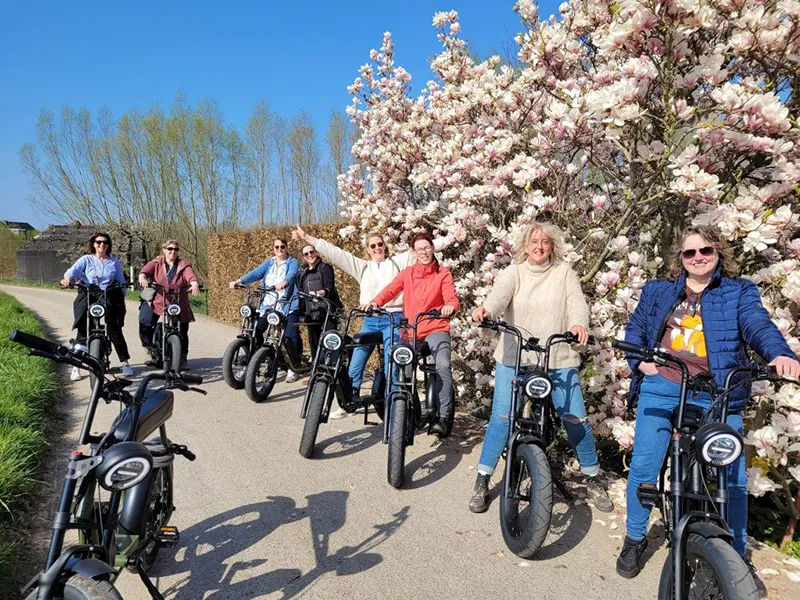 Elektrisch fietsen Linge